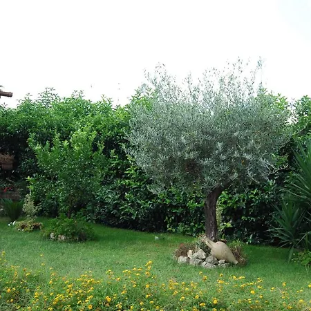 Apartment ***** La Casa Di Gio *